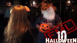 FML Tales From FMyLife HALLOWEEN SPECIAL #10 What The Fox?