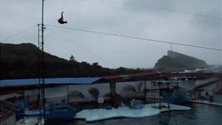 野柳海洋公園高空跳水秀