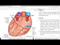 chp18 coronary vessels blood supply of heart bdc vol 1 thorax