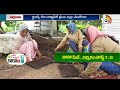 pro tray seedling growing techniques ప్రో ట్రే నారు పెంపకంలో మెళకువలు matti manishi 10tv