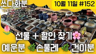 152차 화분판매  #쏘다화분🪴 10월 11일 | 예쁜 다육이 화분 | #다육이화분 #다육이 국산 화분 창분 가을 #분갈이 |  #화분 #가성비화분 다나분 건이분 손물레 신상