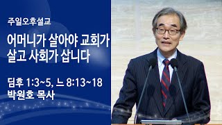 [박원호 목사 주일오후설교]  어머니가 살아야 교회가 살고 사회가 삽니다 (딤후 1:3~5, 느 8:13~18) 2023.1.15