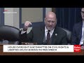 ‘Democrats Love Lawsuits!’ Clay Higgins Gets Heated During Free Speech Hearing