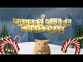 BEST Holiday Hamster Maze 🎁| FUN Christmas Pets