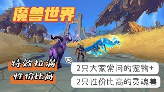 【魔兽世界】2只大家问的比较多的宠物+2只性价比极高的灵魂兽-全带特效，来看看是否都抓到了呢-ly_白鲸