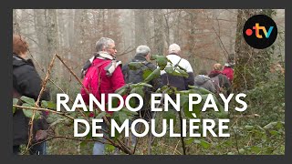 Rando VTT et marche en forêt de Moulière