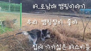 시골땅에 개인 캠핑장만들고 대형견두마리와 힐링하는 이야기 #14