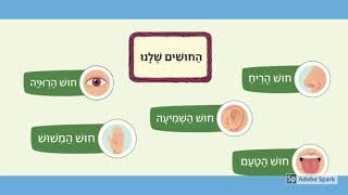 החושים שלנו מתוך פלא הטבע