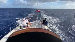 Formation voile à bord d'un Beneteau First 40 au large de la Guadeloupe