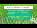 ধানের জমিতে আগাছা দমনে বাজারের সেরা সমাধান চেনজার ১৮ডব্লিউপি