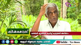 SALIM KATTAKATHU | മഞ്ഞള്‍കൃഷി ലാഭകരം; രോഗങ്ങളില്ലാതെ ജീവിക്കാം | TCV KARSHAKA MANASSU |