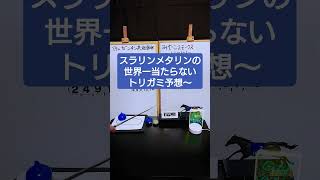 【アルゼンチン共和国杯、みやこS】スラリンメタリンの世界一当たらないトリガミ予想〜【2024年11月第1週】 #競馬予想 #アルゼンチン共和国杯 #みやこs #みやこステークス