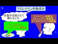 登録販売者試験　鼻炎 点鼻薬 抗アレルギー薬の成分