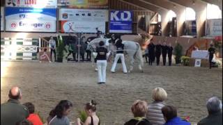 RV BiBi - Galopp Schritt - Bietigheim 2017