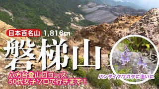 【2024東北遠征第３弾】バンダイクワガタに逢いに磐梯山へ　#日本百名山　#バンダイクワガタ　#八方台登山口　#50代女子ソロ　#登山好きな人とつながりたい