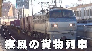 【貨物列車】2021年12月28日と12月31日と2022年1月7日の撮影の疾風の貨物列車　全30本　天竜川駅付近と浜松駅に轟く大迫力の貨物列車の高速通過とジョイント音をお楽しみください！