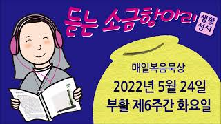 생활성서 듣는 소금항아리 [20220524 | 부활 제6주간 화요일](글라렛선교수도회 박재형 미카엘 신부) 매일미사