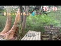 【島と山と杉の旅】24春 女ひとり 屋久島３泊４日 part２ 宮之浦岳縦走と縄文杉