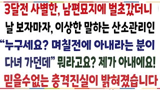 (반전신청사연)3달전 사별한 남편묘지에 벌초갔더니 날 보자마자 말을 거는 관리인 \