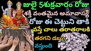 జులై 5 శుక్రవారం శక్తీవంతమైన అమావాస్య రోజు ఈ చెట్టుని తాకితే చాలు ఇక డబ్బు కి లోటు ఉండదు