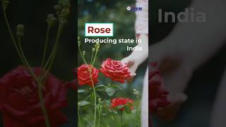 Biggest Rose Producing States of India | Roses Sourcing For Export Import Business | iiiEM #Shorts