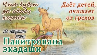 Павитропана Экадаши. 16 августа 2024. Особенно сильный пост, исполняющий желания и дарующий детей.