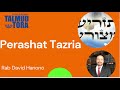 Parashat  Tazria. Rab David Hanono