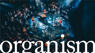 Qaijff - organism (Live at 名古屋ちくさ座 2024.07.12 “誇れ2024”)