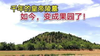 探访北魏孝文帝的陵墓，千年来封土像一座大山，周围环境很无语！