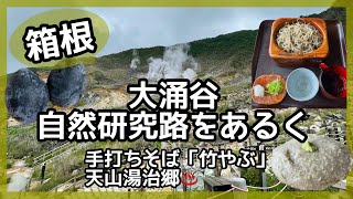 【箱根】大涌谷・自然研究路を歩く❣️