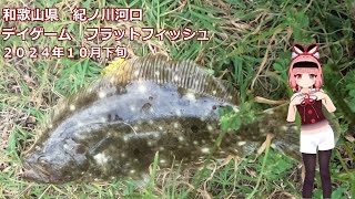 あかねちゃんと釣りに行くで！　紀ノ川河口フラット釣行♯８