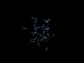generative vector field ribbons 3d