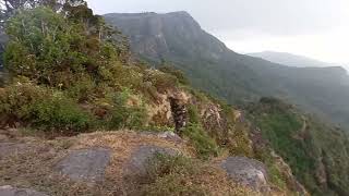 චැරියට් පාත් Chariot Path Camping ලස්සනම view එක