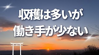 神様に応援され豊かになる生き方◆第95話◆収穫は多いが働き手が少ない