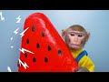 kiki monkey make amazing rainbow jelly by watermelon with cute puppy duckling kudo animal kiki