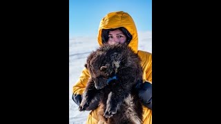 Mirjam Barreuto: What’s up with Wolverines? 10 years (and counting) of Wolverine Research