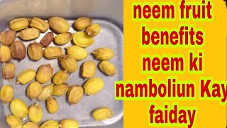 Neem fruit benefits/neem ki namboliun Kay faiday in Urdu/hindi