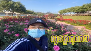 សួនផ្កាកុលាបនៅកូរ៉េ |Roses garden in town|