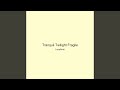 Tranquil Twilight Fragile