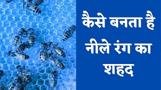 Blue Honey | कैसे बनता है नीले रंग का शहद?