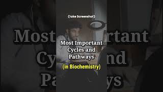 Most Important Cycles in Biochemistry