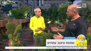 משתלת וונדי מציגה שיחי טופיארי בתוכנית העולם הבוקר-חלק ראשון