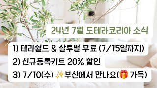 도테라 7월 프로모션 안내 | 🎉 신규등록키트 20% 할인 소~오식 외