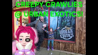 CREEPY CRAWLIES!! @ URBAN EXOTICS