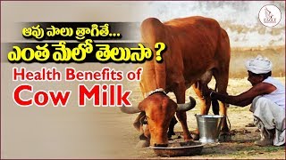 Incredible benefits of drinking cow's Milk | Telugu Health Tips | Eagle Media Works