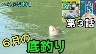 【釣り】６月の底釣り〜芯華ペレ底【へらぶな釣り】