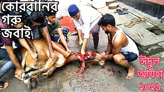 গরু জবাই | Cow Qurbani | ঈদুল আযহা ২০২১ | কুরবানী ঈদ | Dhaka Qurabni | Goru Jobai | Eid 2021 | গরু🐂