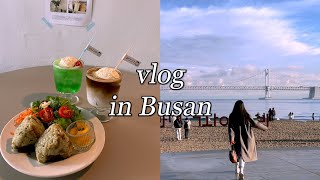 SUB) Busan vlog | Year-end Daily Collection ✨ I'm going to eat a lot of delicious things!