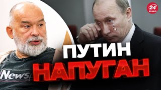 💥Путин СРОЧНО просит мира / Чего добивается Кремль? – ШЕЙТЕЛЬМАН @sheitelman