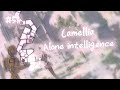 [ ADOFAI Custom #51 ] かめりあ(Camellia) - Alone intelligence [ Map by Nephrolepis ]